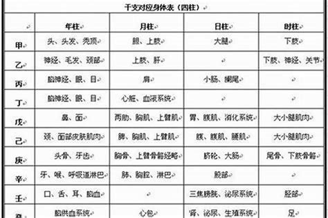 八字看疾病|八字看疾病 – 八字看各类疾病